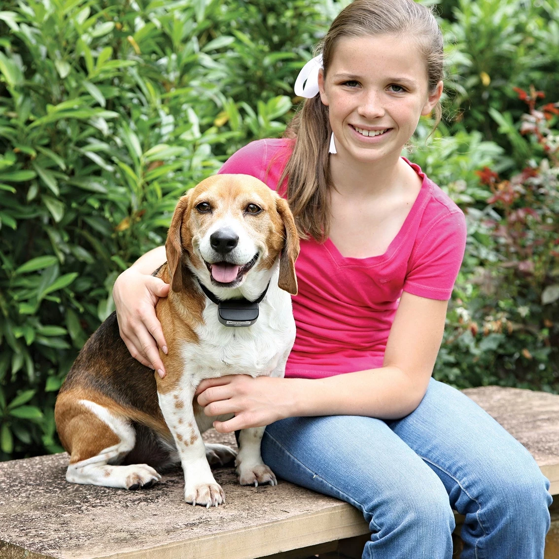 Promo โ PetSafe Pet Safe Rechargeable In Ground Fence Receiver Collar With Charger โญ - Image 3