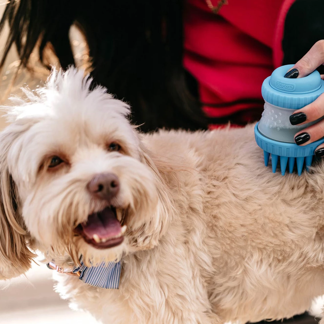 Budget ๐ฏ Dexas Scrub Buster ๐ถ Dog Washing Brush ๐ - Image 3