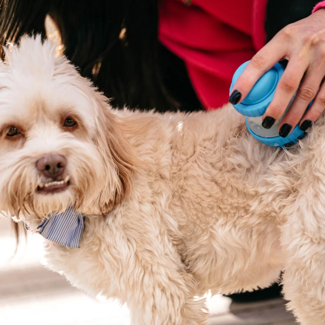 Budget ๐ฏ Dexas Scrub Buster ๐ถ Dog Washing Brush ๐ - Image 4