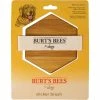 Cheapest 😍 Burt's Bees Puppy Slicker 🐶 Dog Brush ✔️