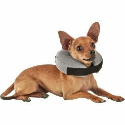 Buy ✨ Well & Good Inflatable Collar For Pets ⭐